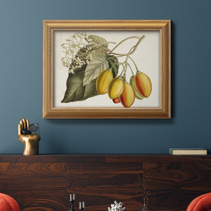 Tropical Foliage & Fruit IV Premium Framed Canvas- Ready to Hang