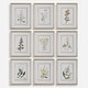 preview thumbnail 1 of 5, Uttermost Botanical Flowers Framed Prints, Set of 9