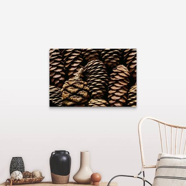 Shop Close Up Of Pine Cones Canvas Wall Art Overstock 21003969