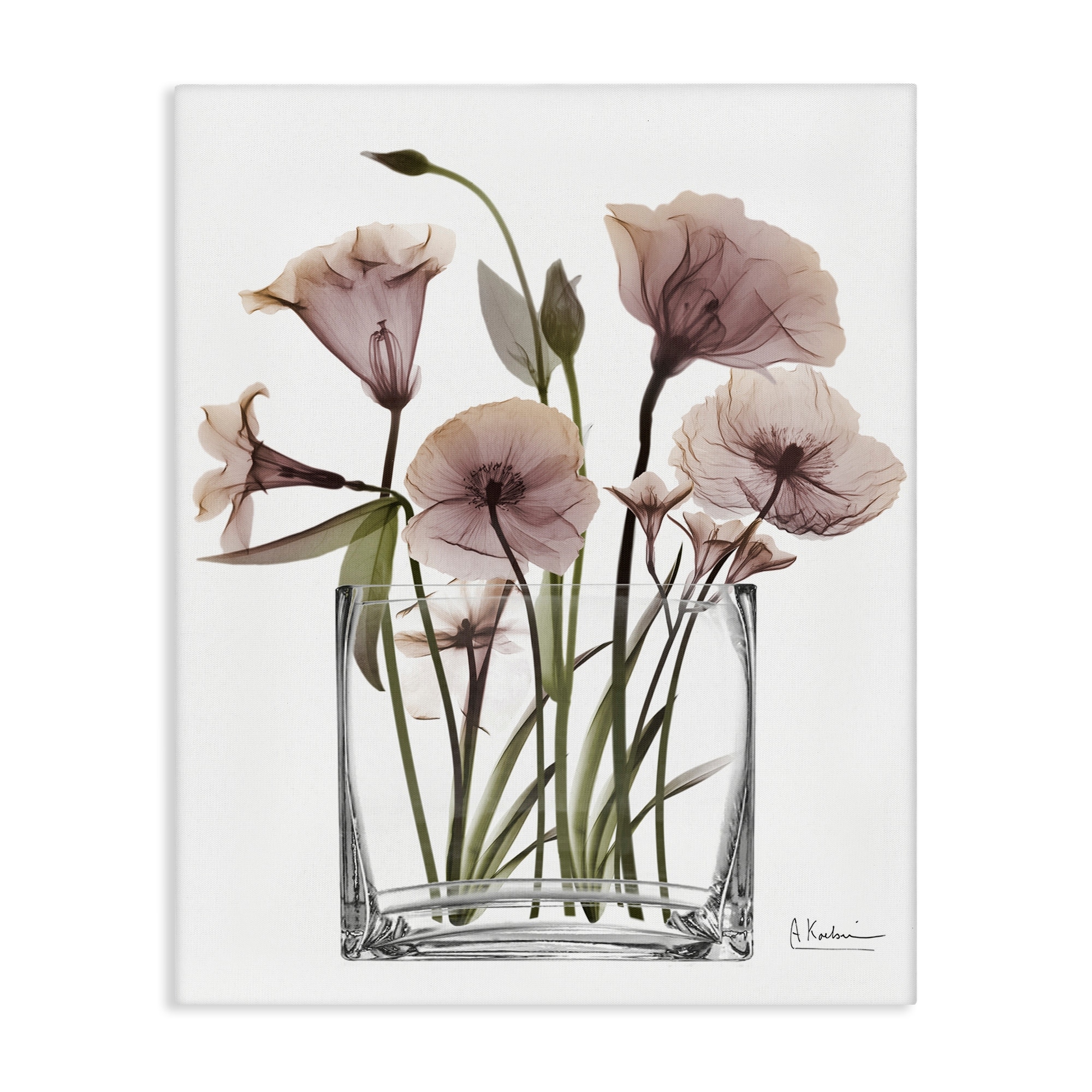 Stupell Modern Elegant Vase Canvas Wall Art Design By Albert Koetsier