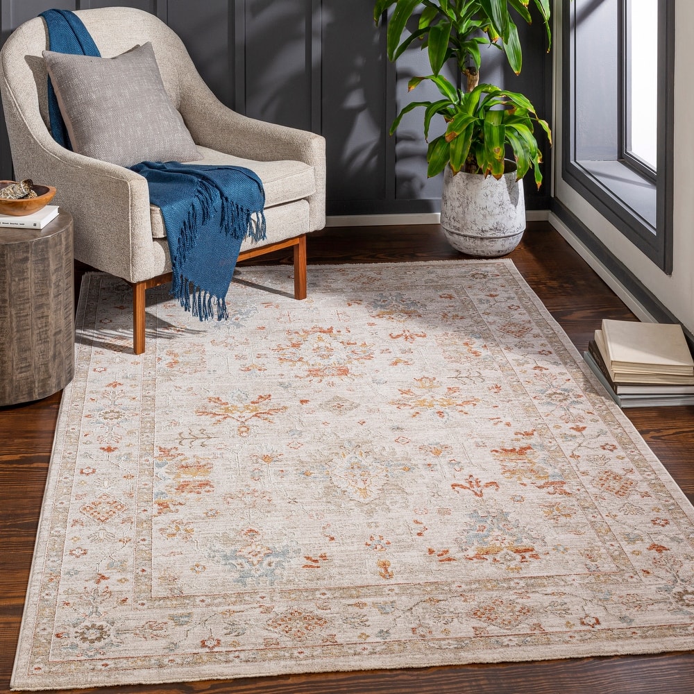 Livabliss Divya Traditional Oriental Area Rug