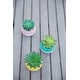 preview thumbnail 9 of 7, Succulent in Two tone lines pattern ceramic pot ,Teal - ONE-SIZE
