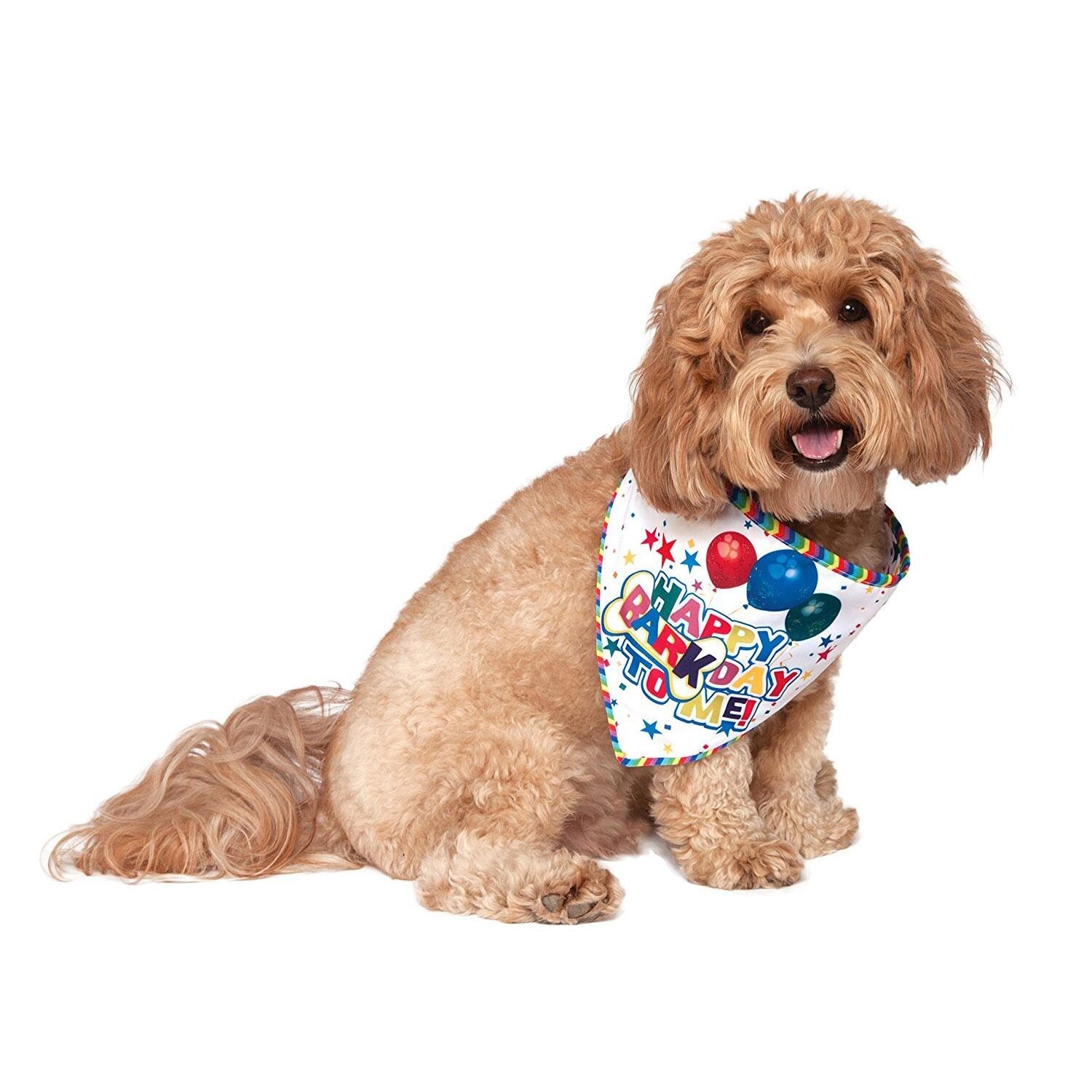 Shop It S My Barkday Reversible Dog Bandana Medium Large
