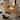 71" Mid Century Wood Rectangular Dining Table for 6, Oval Kitchen Table with double legs, Brown
