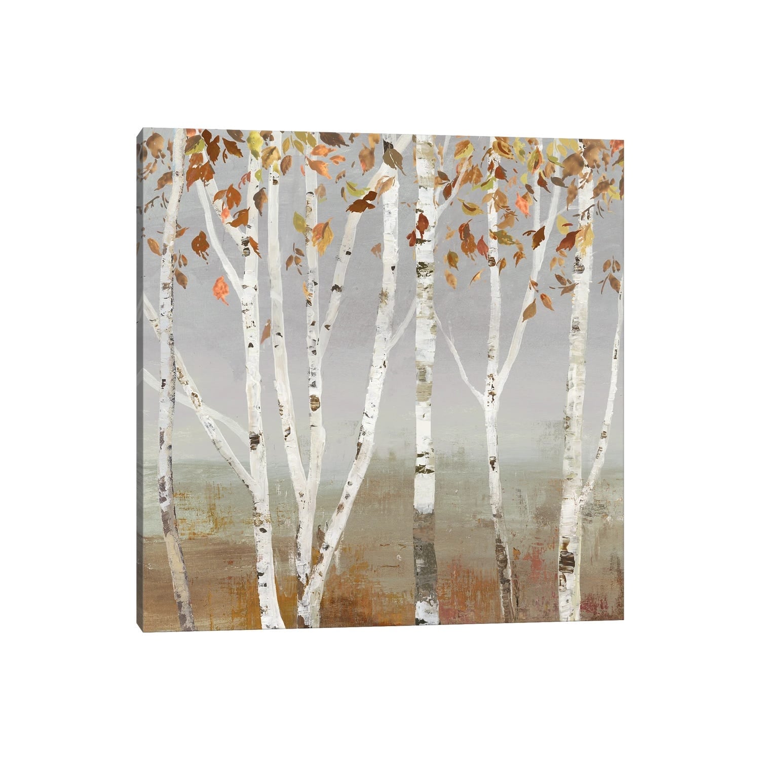 iCanvas "Fall Diffraction" by Allison Pearce Canvas Print