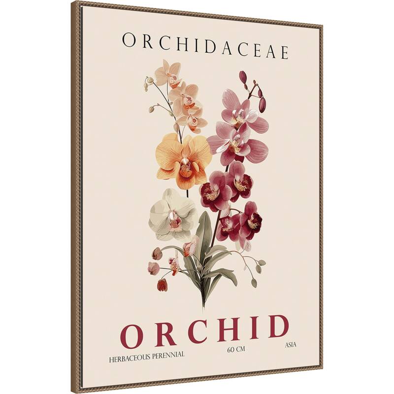 Vintage Botanical Orchid Illustration by Christopher Giampietro Framed Canvas Wall Art Print