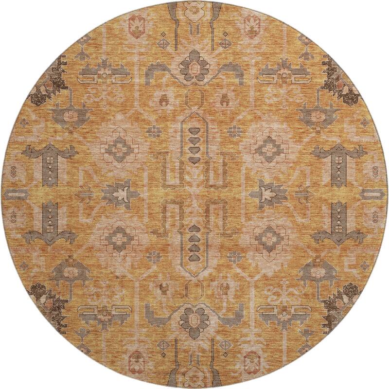 Premium Washable Super Soft Traditional Global Mayfield Rug