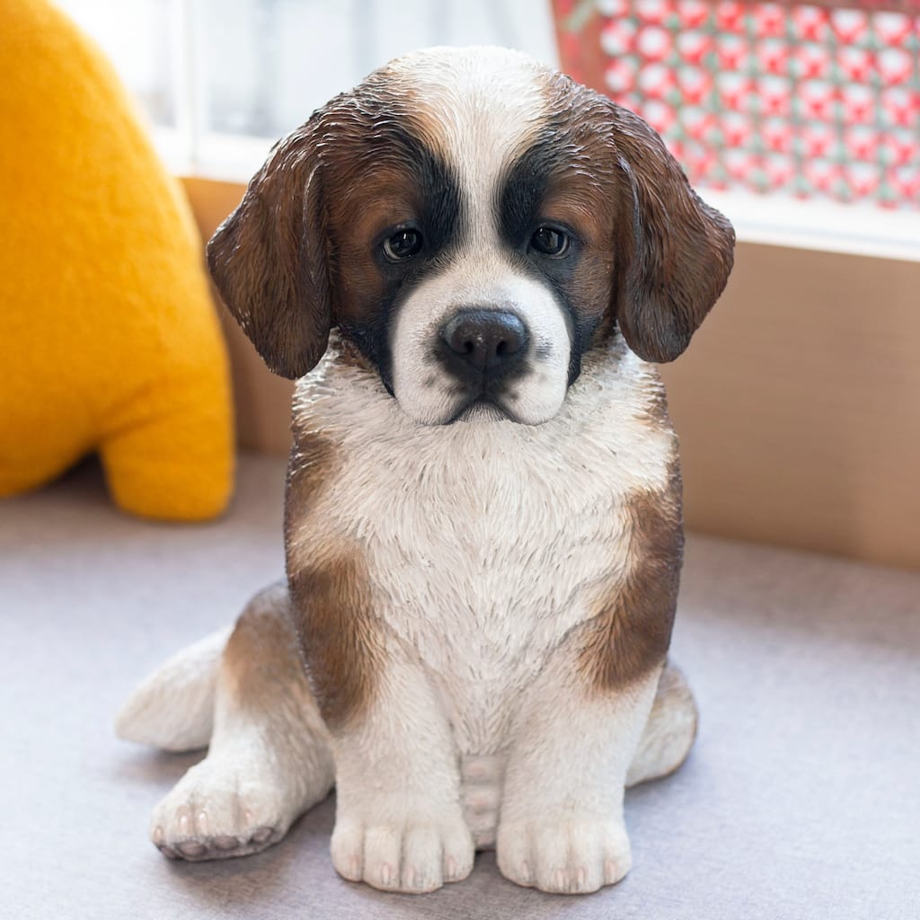 SoReal White & Brown Saint Bernard