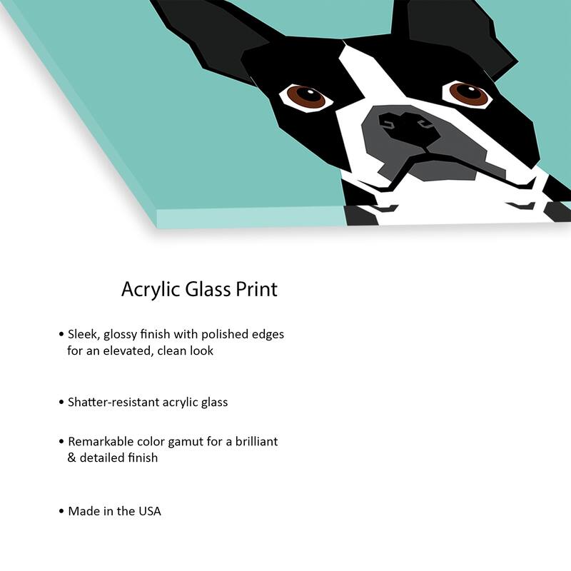 Boston Terrier Print On Acrylic Glass by Pet Friendly