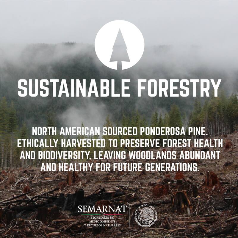 PIPE DECOR Solid Live Edge Wood Console Table with Industrial Pipe Legs