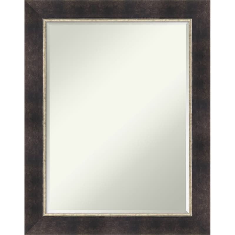 Odin Half-Inch-Bevel Framed Wall Mirror - Odin Antique Bronze - 23 x 29 in