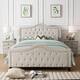 Option Ivory