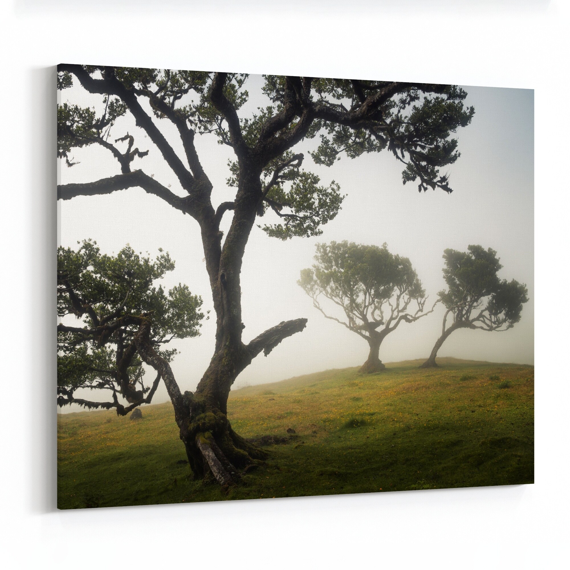 Shop Portugal Fantasy Landscape Nature Canvas Wall Art Print Overstock 31280129