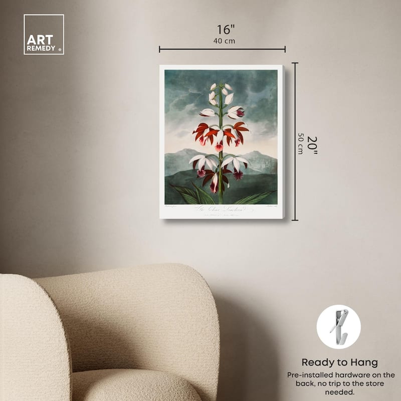 The China Limodoron 1807 Canvas by Art Remedy, Gallery Wrapped