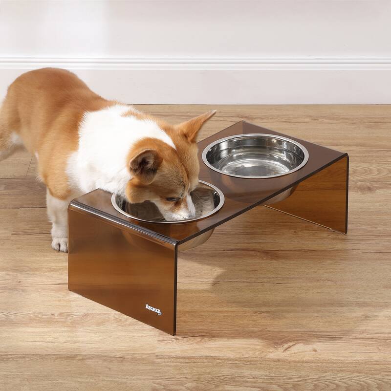 Keaton 7.5" Medium/Large Modern Lucite Rectangular Elevated Pet Feeder with 54oz 2-Stainless Steel Bowls