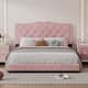 Option Pink