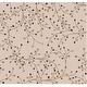 preview thumbnail 131 of 196, Sakura Handmade Transitional Floral Wool Area Rug 8' Square - Cream - Square/Runner