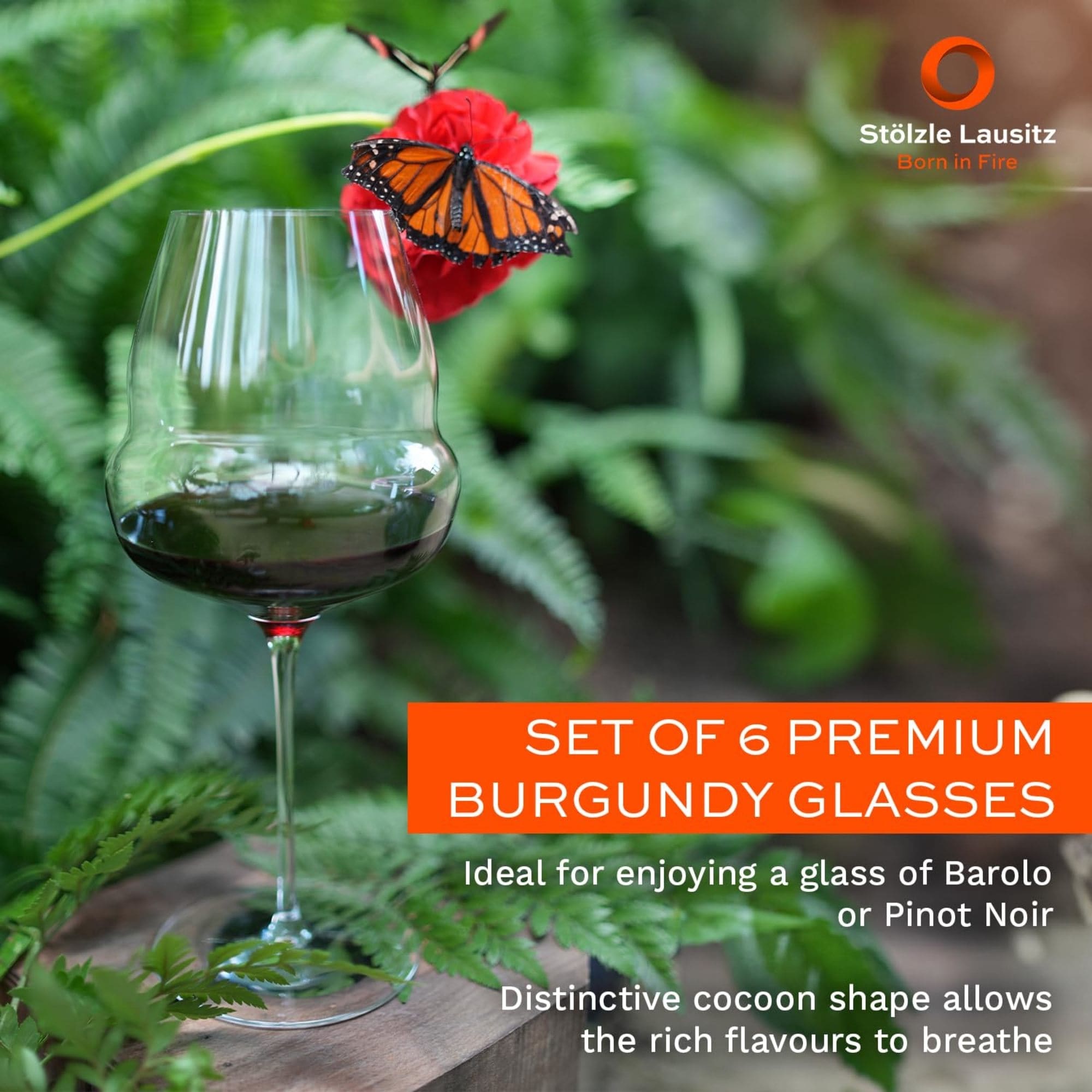 Stolzle Lausitz Cocoon Burgundy Wine Glasses Set of 6