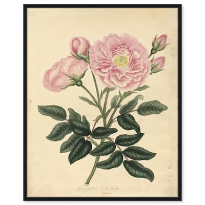 French Rose Canvas by Art Remedy
