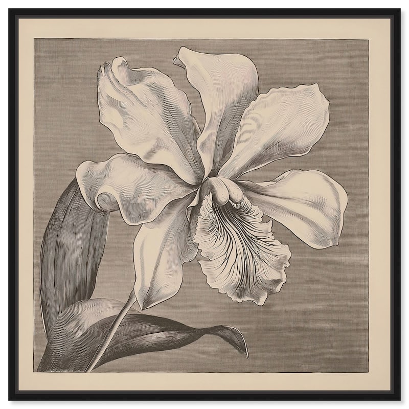 Petals Unfurled III Canvas by Art Remedy - 30" x 30" - Black