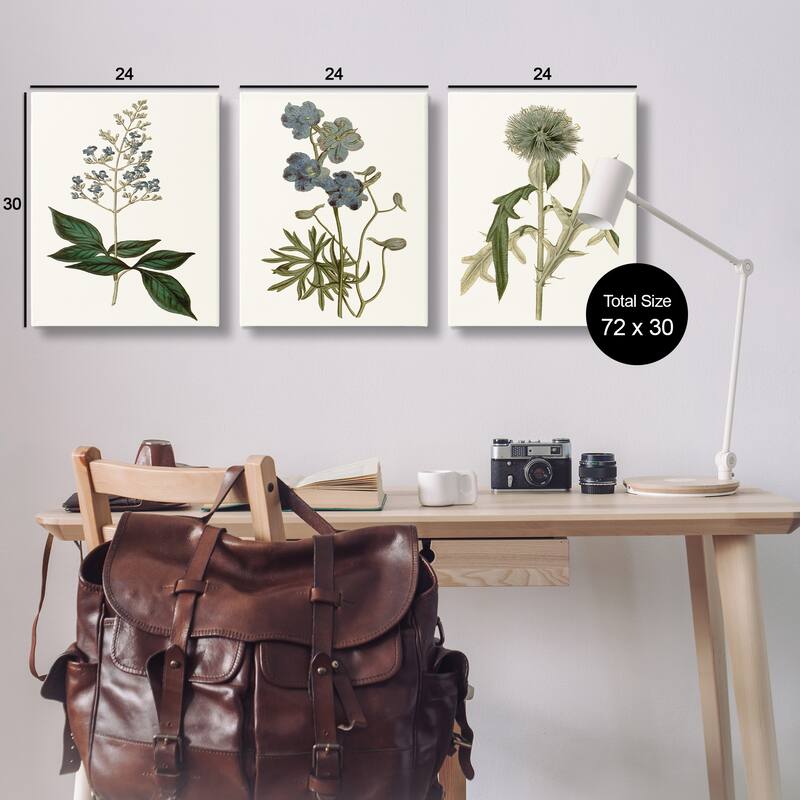 Stupell Vintage Blue Botanical Flowers on Beige, 3pc Multi Piece Canvas Wall Art Set