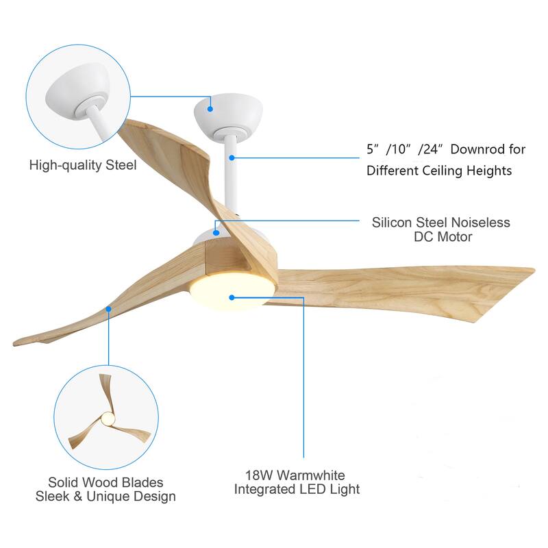 Modern Minimalist Ceiling Fan Light with Light and Wind Speed Adjustment, Energy Saving DC Motor for Bedroom and Living Room