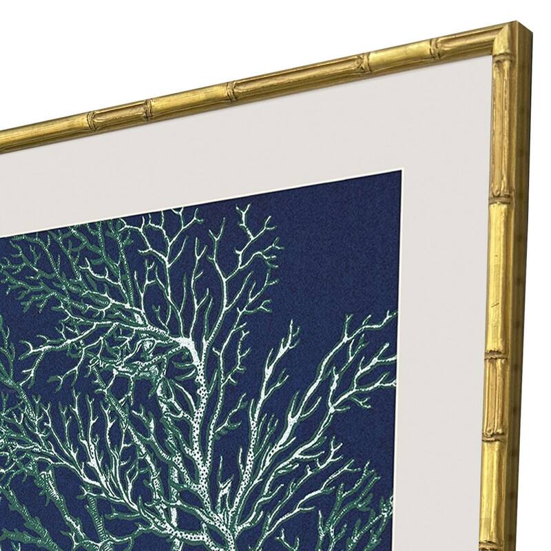 Paragon Sea Garden Framed Art - Set of 4