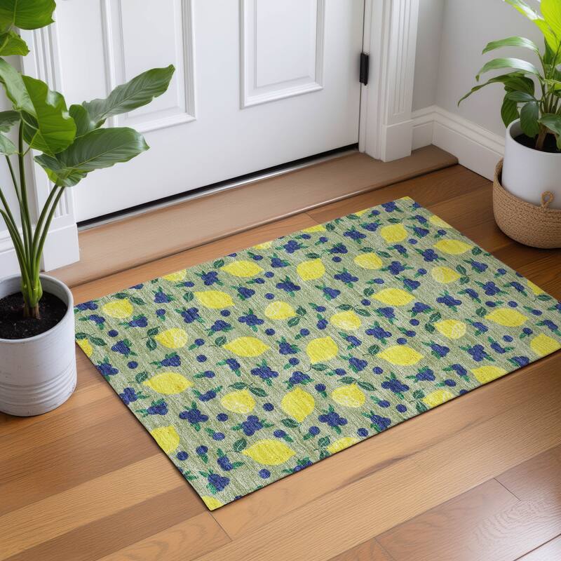Machine Washable Indoor/ Outdoor Citrus Berry Chantille Rug