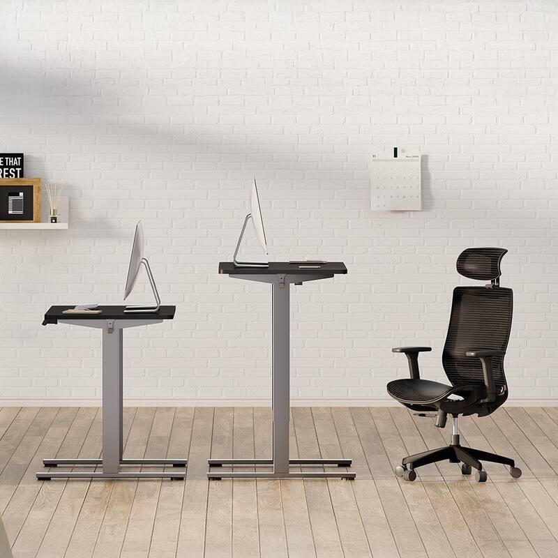 Electric Standing Desk, Dual Motor Adjustable 48x24 Home Workstation