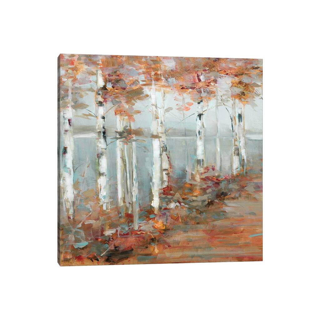iCanvas "Birch Walk I" by Sally Swatland Canvas Print