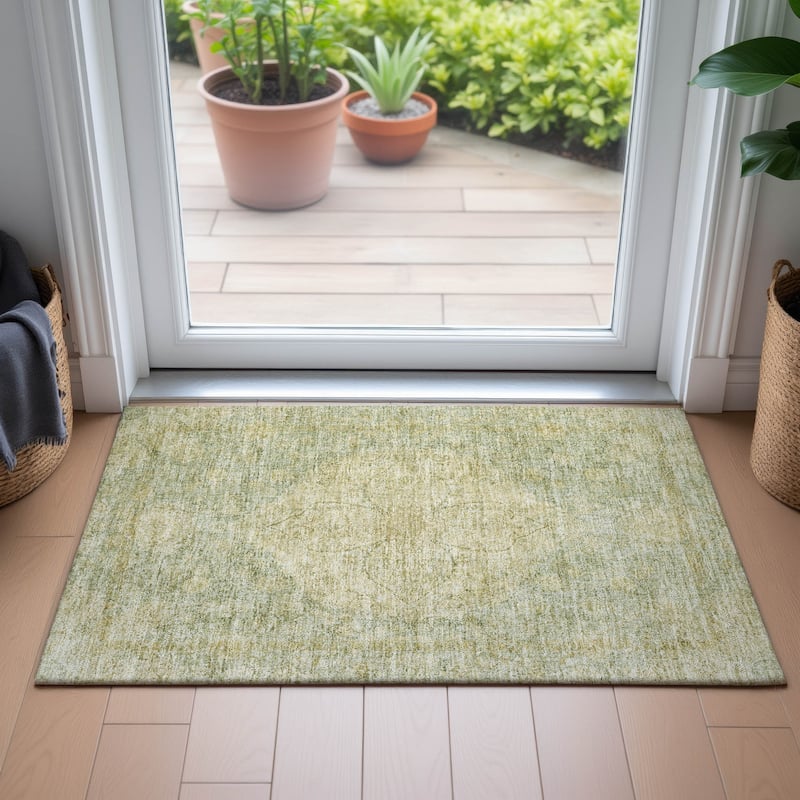 Machine Washable Indoor/Outdoor Traditional Global Chantille Rug
