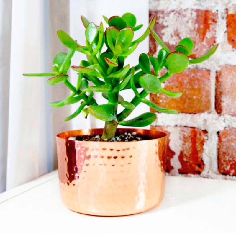 Novica Handmade Vintage Nature Copper Flower Pot