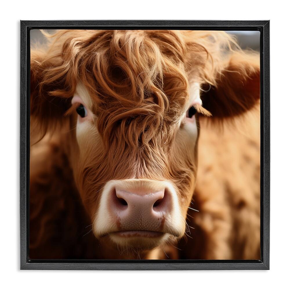 Stupell Close Up Furry Cow Portrait Framed Floater Canvas Wall Art Design By Heidi Kuntz