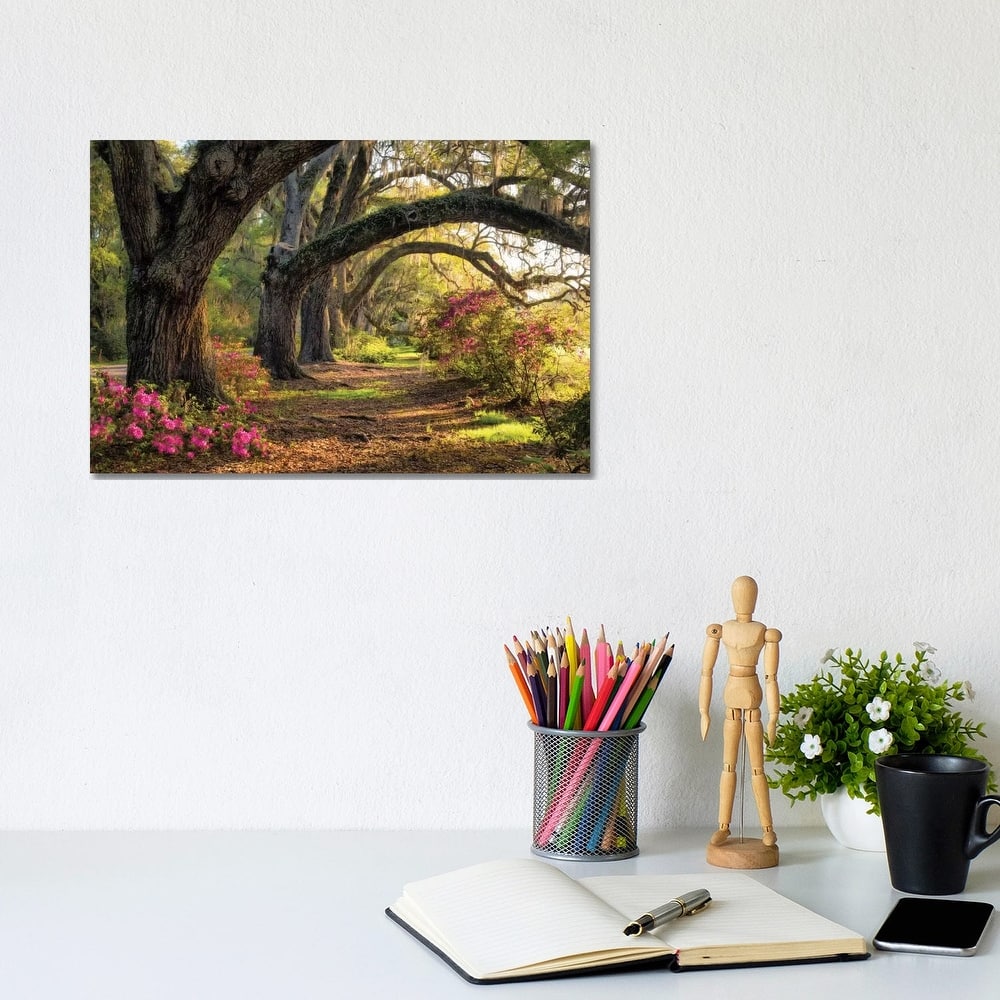 iCanvas "Under The Live Oaks I" by Danny Head Canvas Print