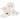 Portmeirion Botanic Garden Porcelain Dinnerware Set Lotus