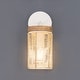 preview thumbnail 3 of 2, Maxim 22440 Vannerie 13" Tall Wall Sconce