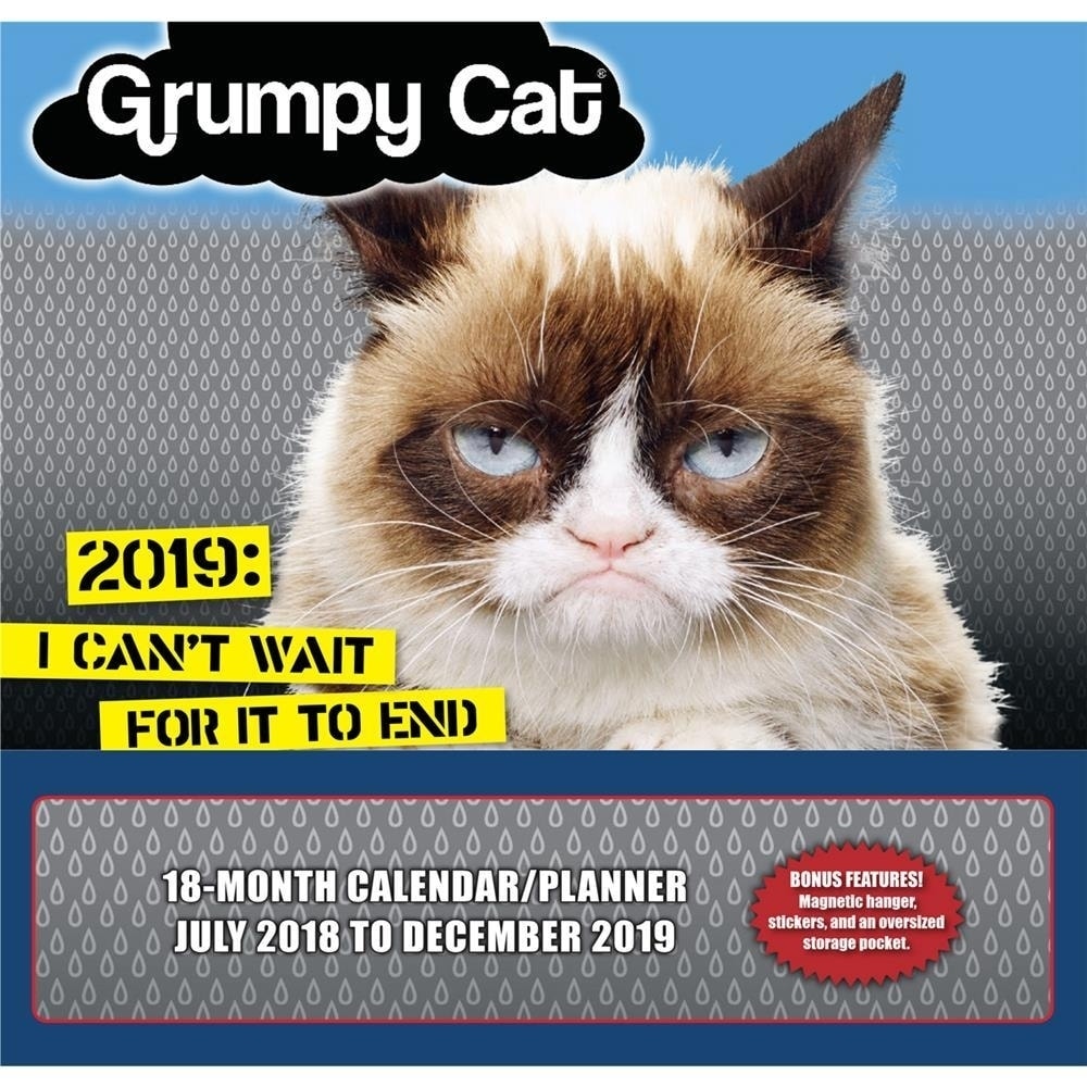 Shop 2019 Grumpy Cat 2019 Wall Calendar Funny Cats By Sellers Publishing Overstock 22092316