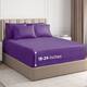 Option Purple