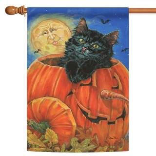 Orange and Black Cat in Pumpkin Halloween Outdoor House Flag 40