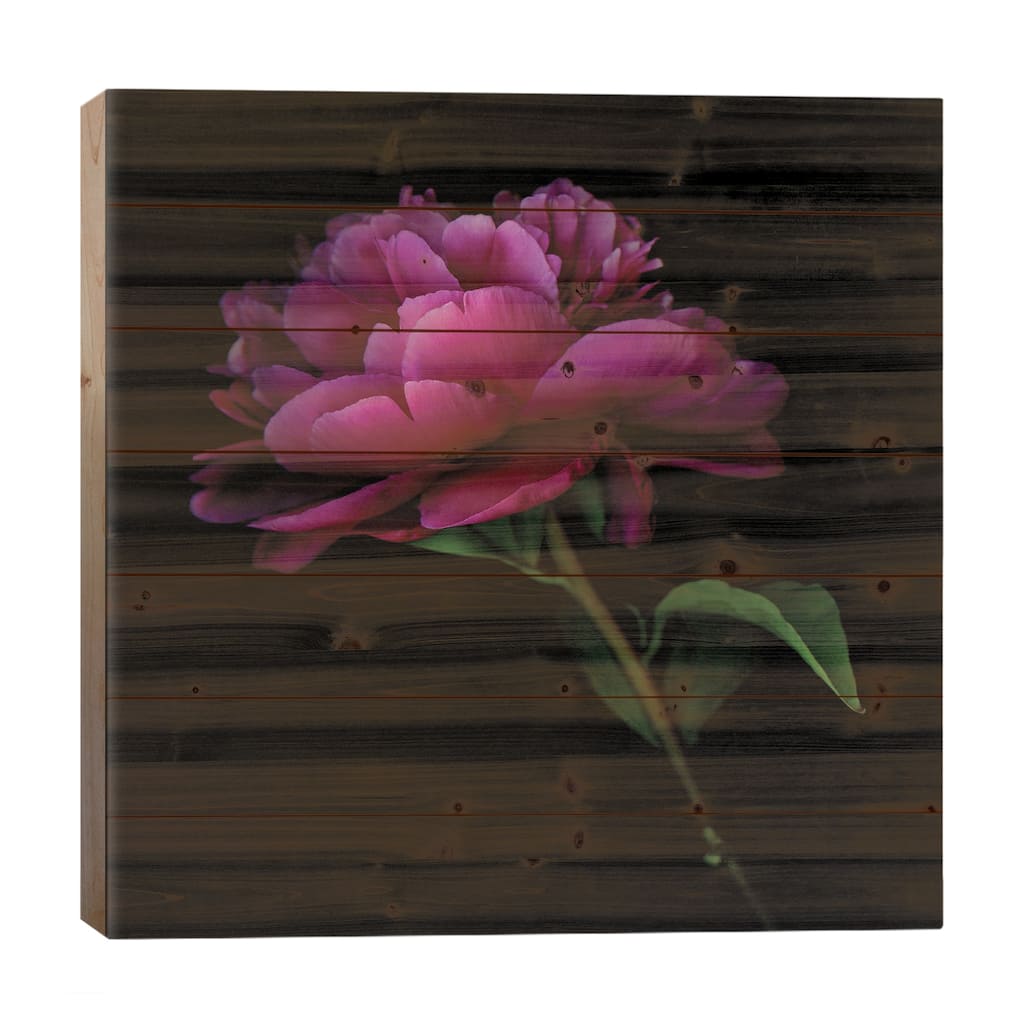 Peony Dark VIII Print On Wood by Magda Indigo - Multi-Color