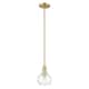 Option Clear / Champagne Bronze