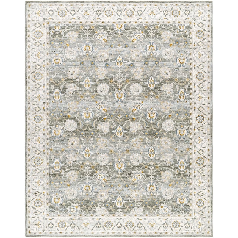 Livabliss Dresden Transitional Area Rug