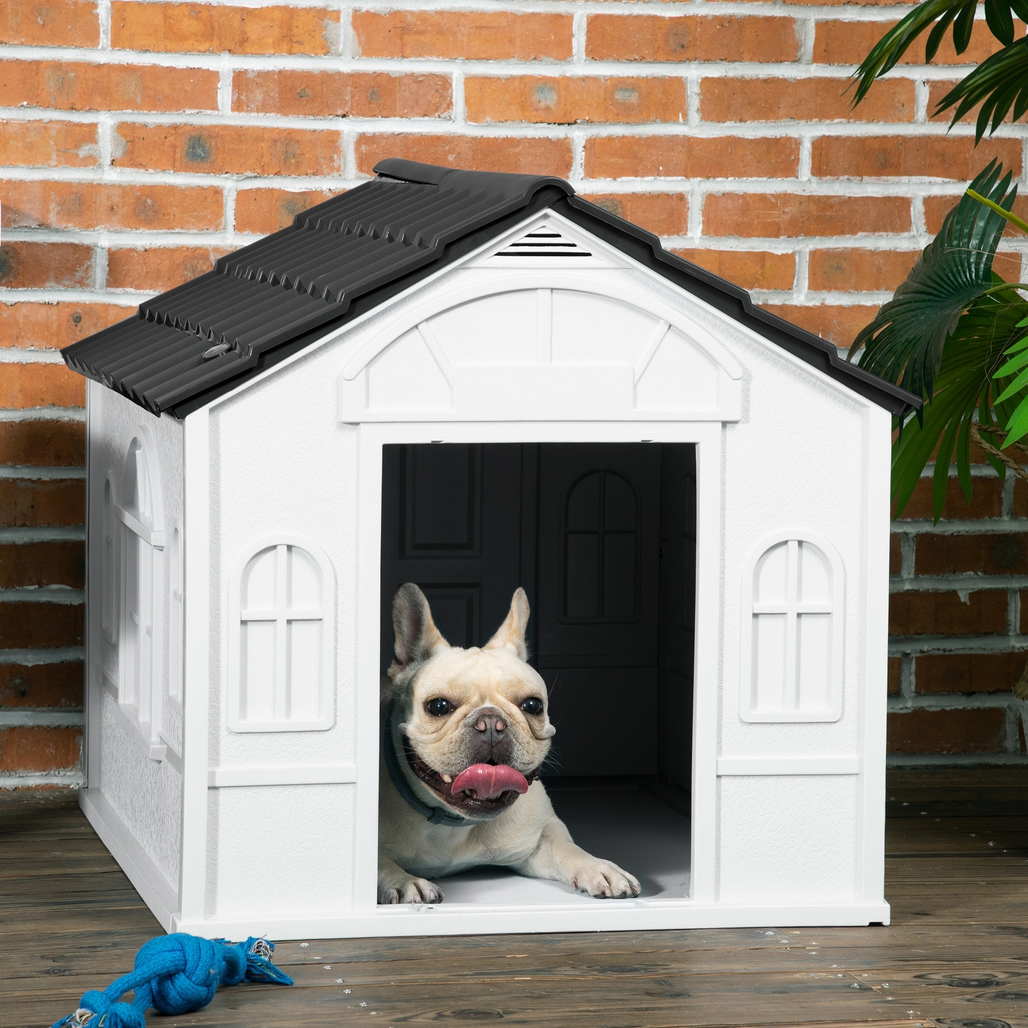 Dog House Water Resistant Dog Shelter Dog Kennel with Door and Window Decor for Medium and Small Dogs