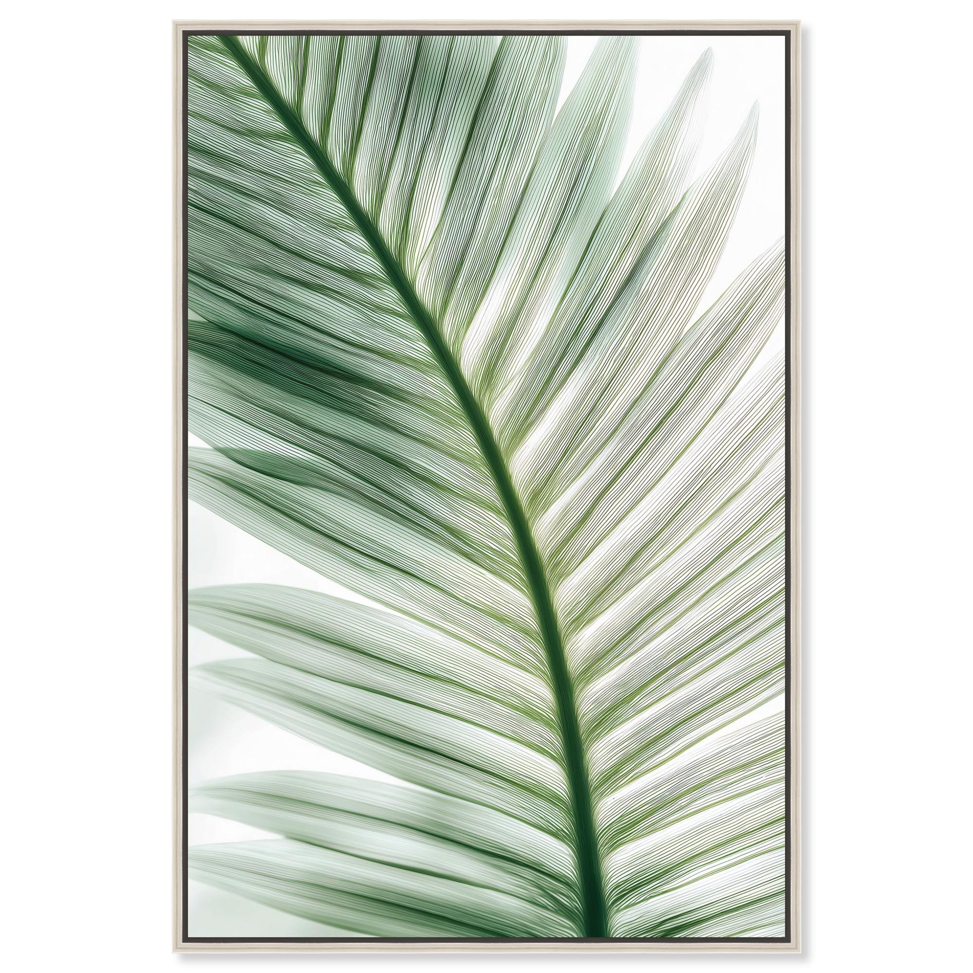 Forest Filigree I Coastal Wall Art Canvas Print by Art Remedy