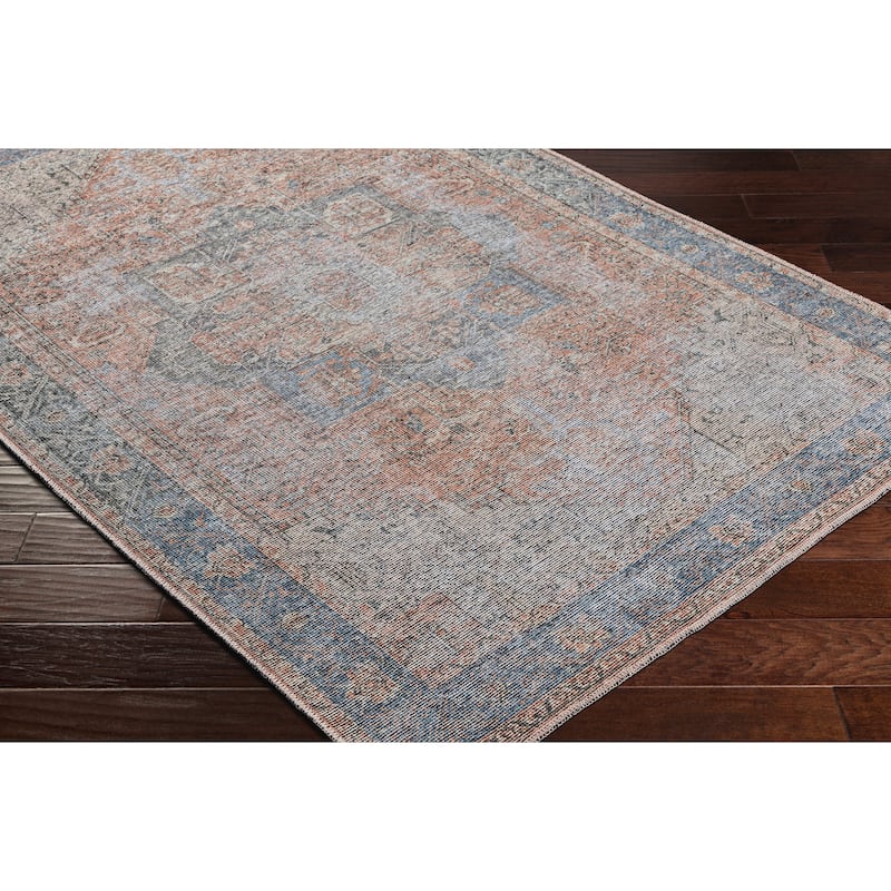 Epaphras Traditional Medallion Area Rug