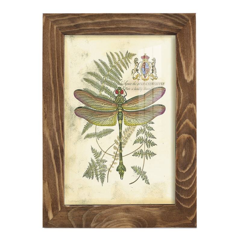 Regal Dragonfly III (PP) -Framed Print w/glass-Cherry Red