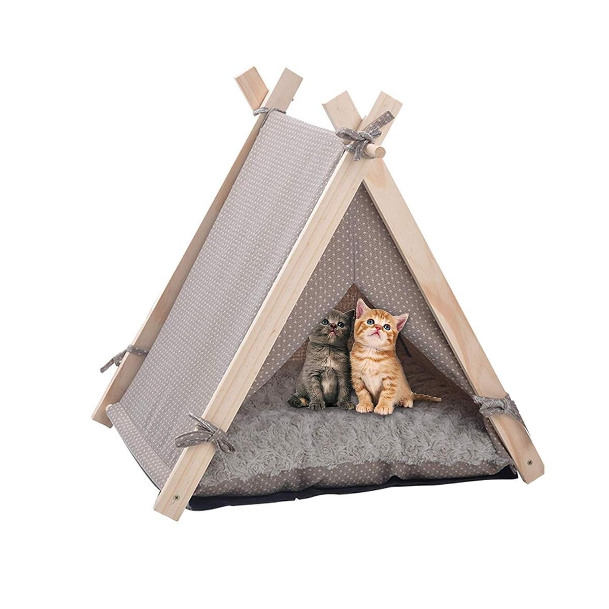 small cat tent