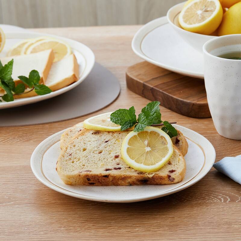 Stone Lain Clara Porcelain Dinnerware Set - 10.83 x 10.83