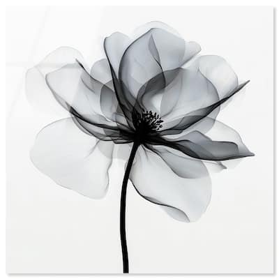 Midania III Acrylic by Art Remedy, Ready to Hang