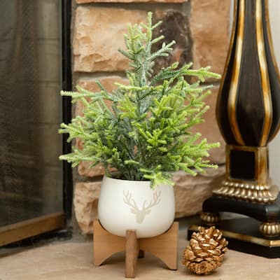 15.75"H Frosted Xmas Tree in 5" Staghead Ceramic on Wood Stand